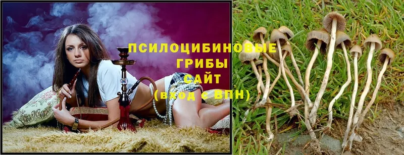 даркнет сайт  MEGA ссылки  Псилоцибиновые грибы Psilocybe  Юхнов 